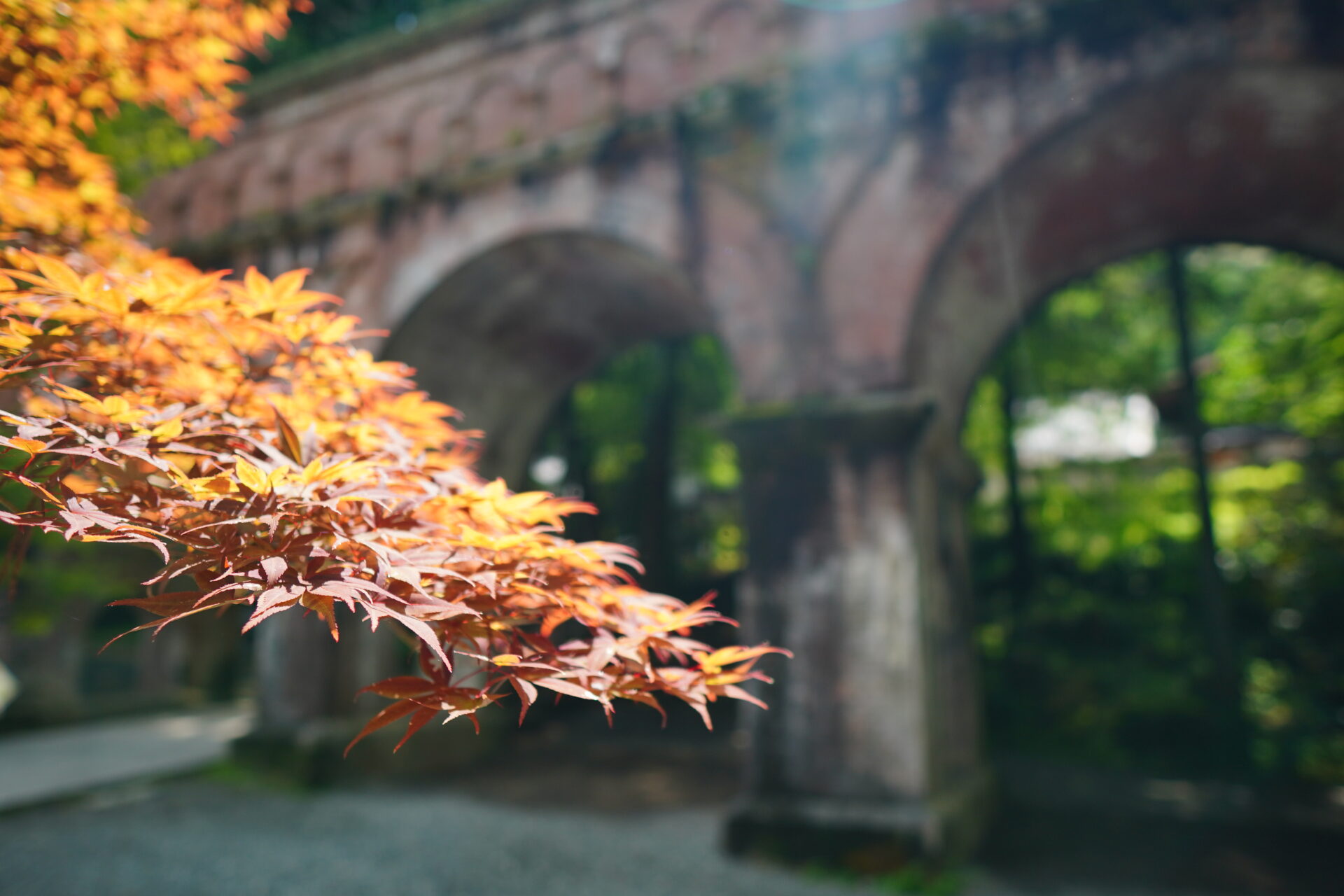 南禅寺界隈に佇む「ふふ 京都」開業。京を五感で楽しむ滞在