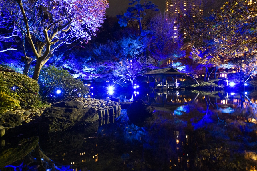幻想的な青の冬景色、八芳園の特別ライトアップが1月より開催！