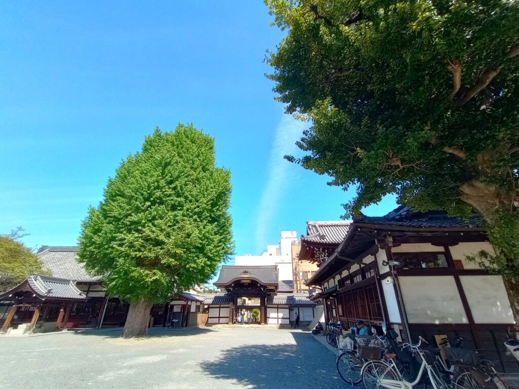D&DEPARTMENT KYOTO