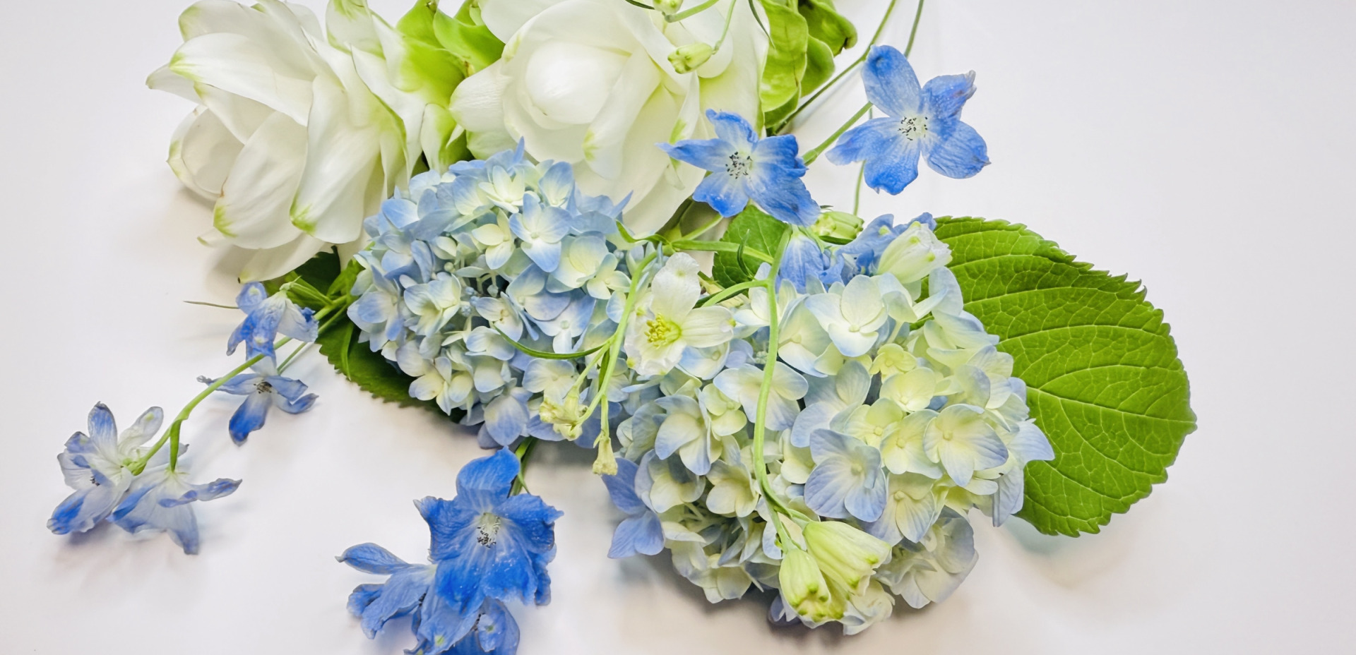 【季節の花×キレイ】猛暑を乗り切るブルーの花と夏限定の涼感コスメ3選