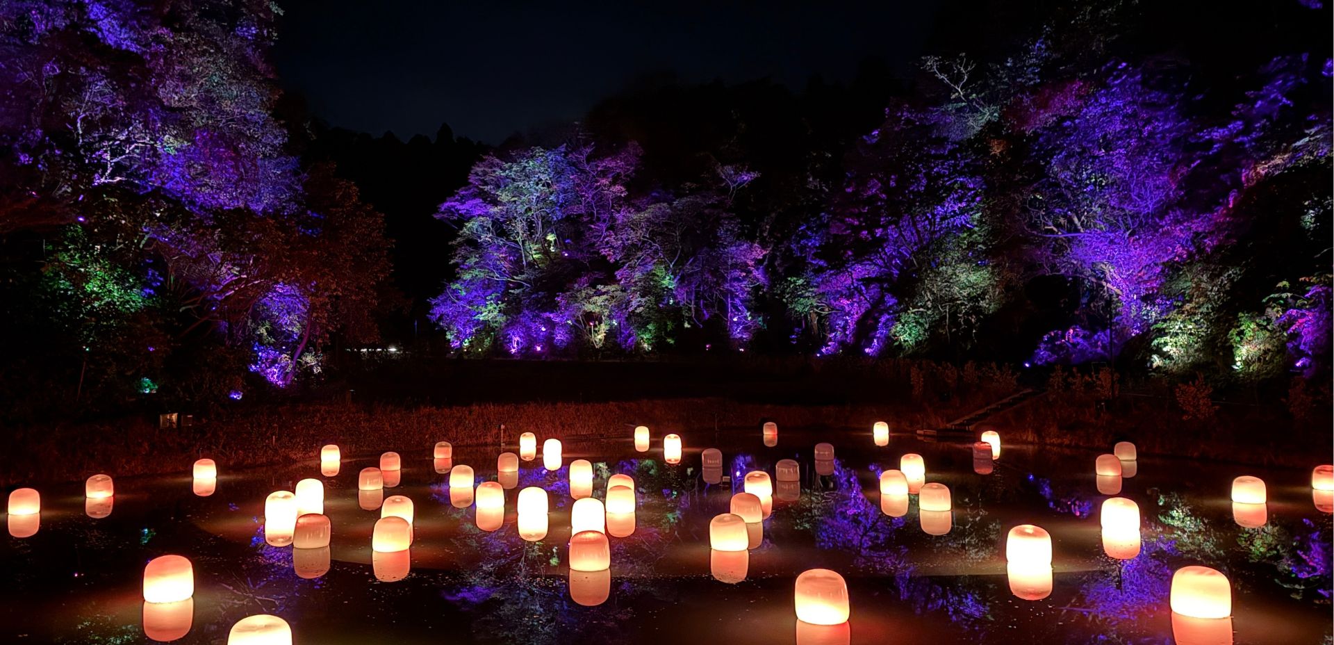 日本で唯一！チームラボ作品と温泉が同時に楽しめるグランピング施設