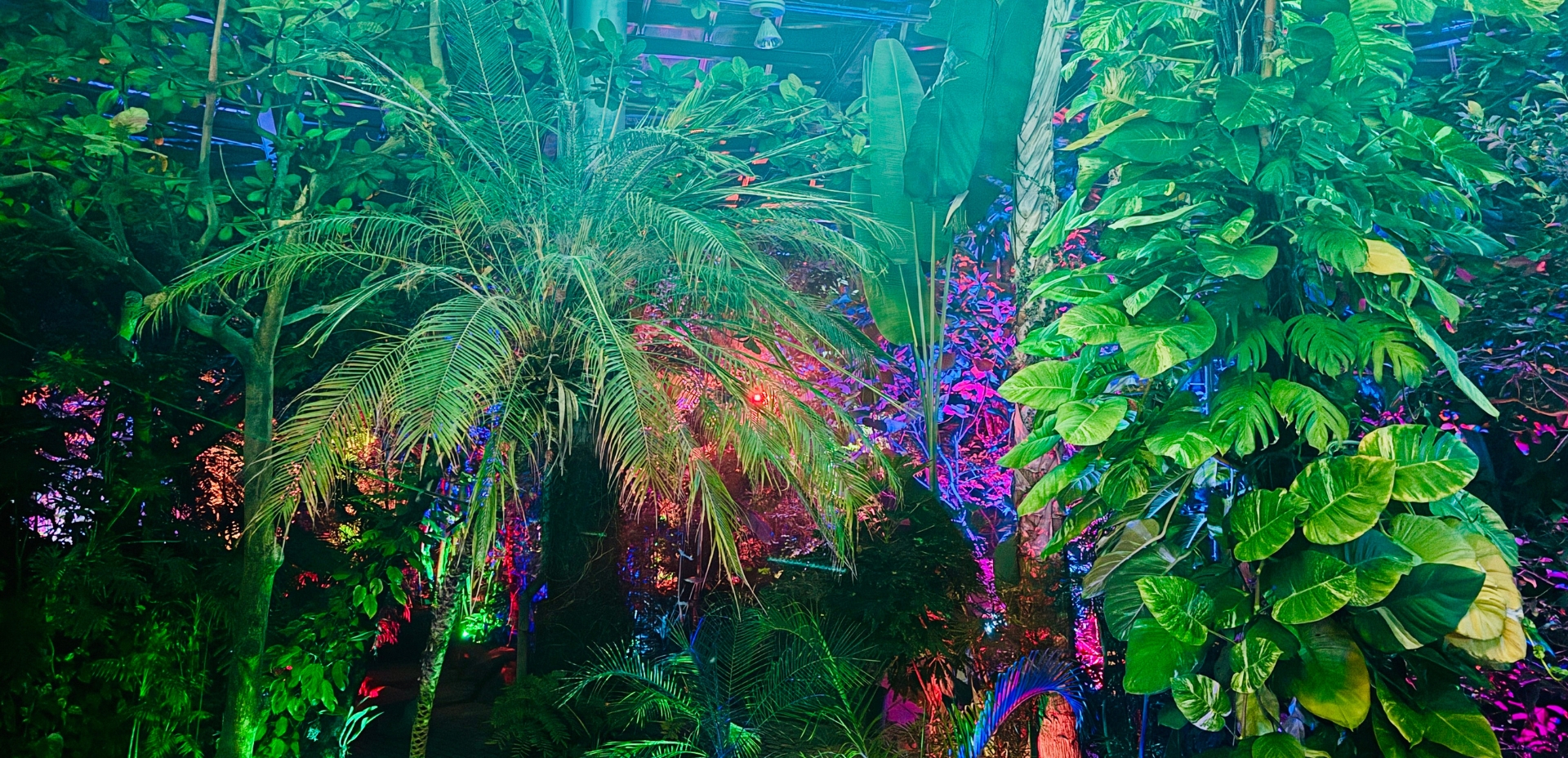 大人も楽しい！日本初！泊まれる植物園×温泉×アクティビティ｜茨城