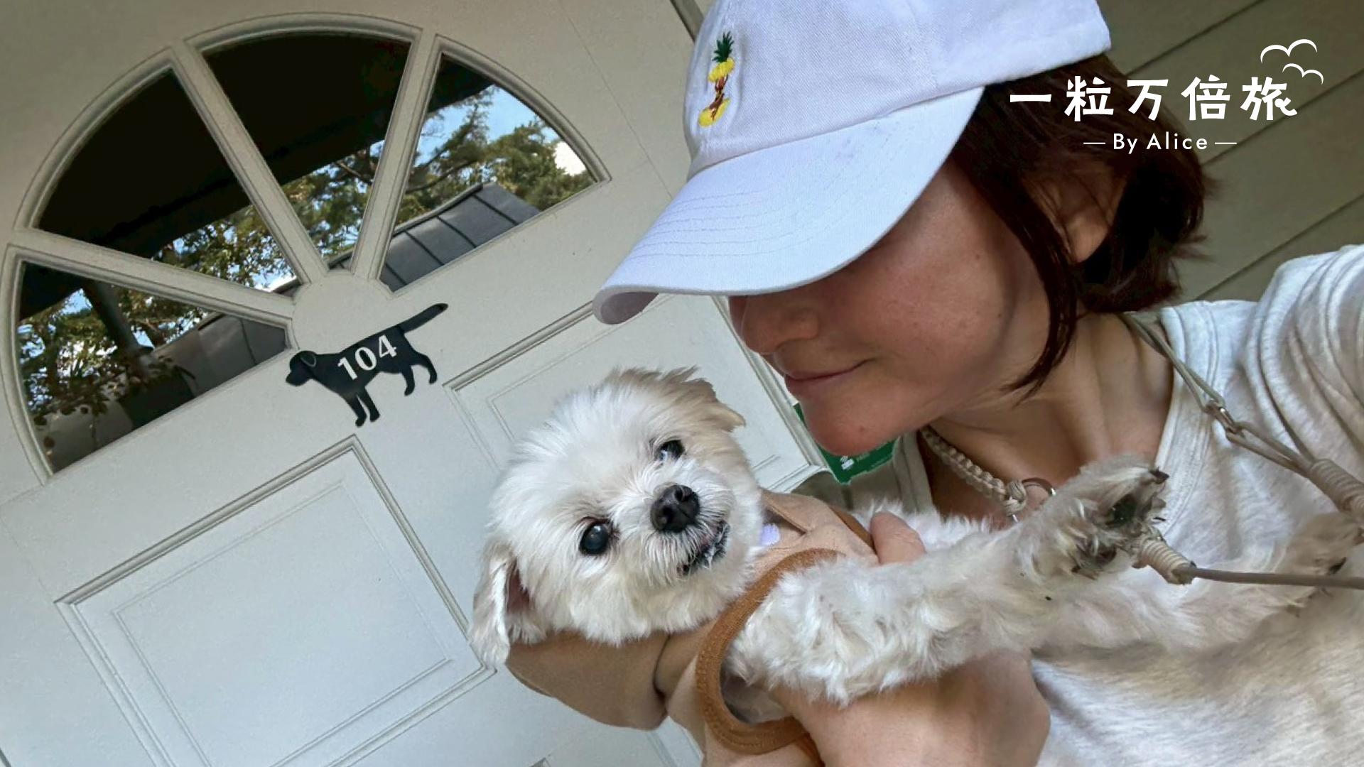 愛犬家の宿選びのポイントは？那須高原で過ごす、癒やしの時間 #一粒万倍旅