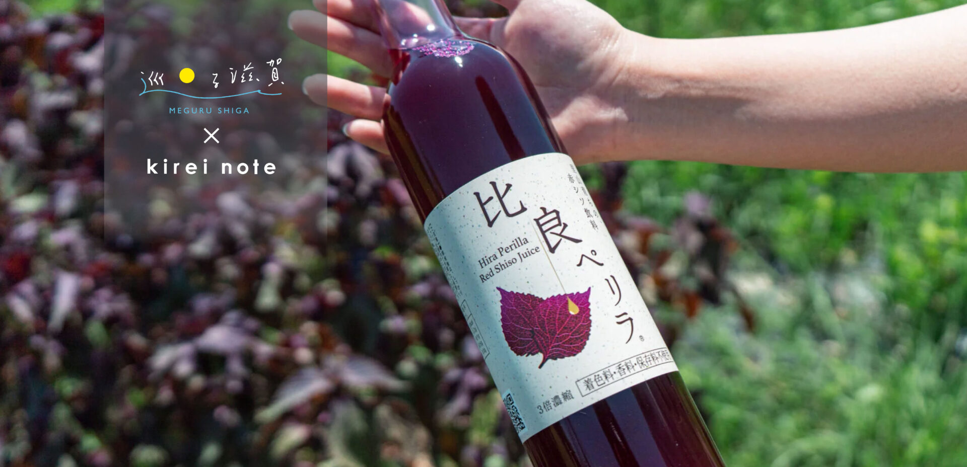 ＜比良ぺリラ＞ 里山保全のために栽培された”赤しそ”がつなぐ物語 #巡る滋賀