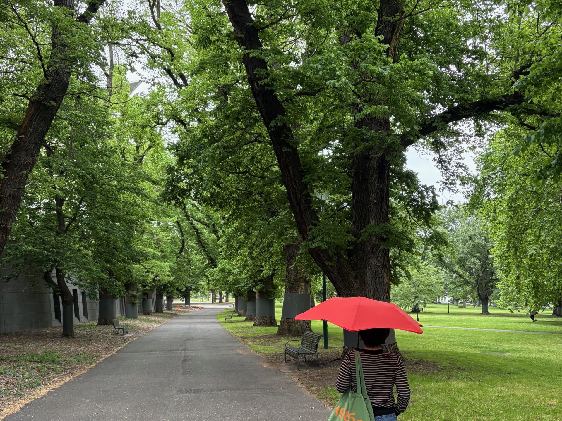 今年の世界最高の都市はメルボルン♡ 在住者が教える本当にいいところ10