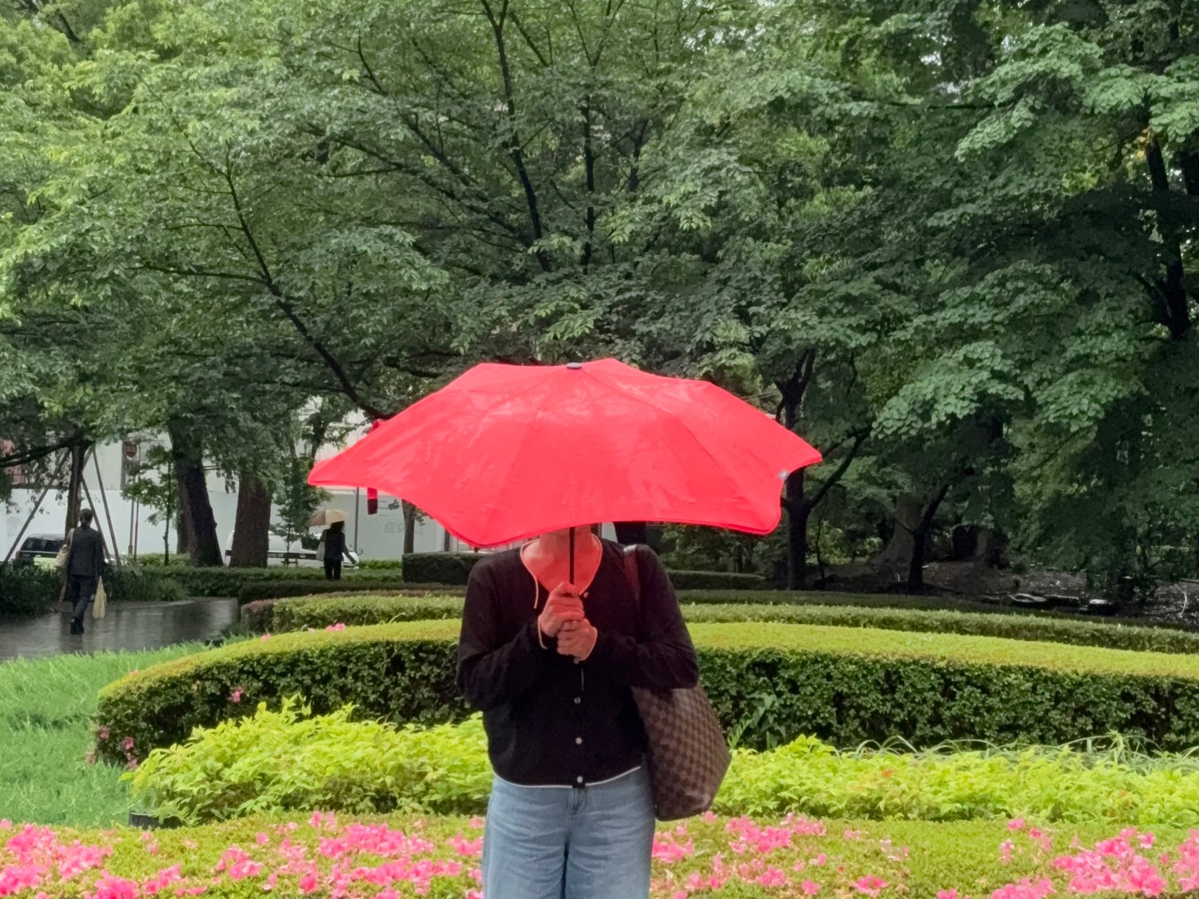 雨音まで心地いい。“梅雨に寄りたい”東京カフェ案内