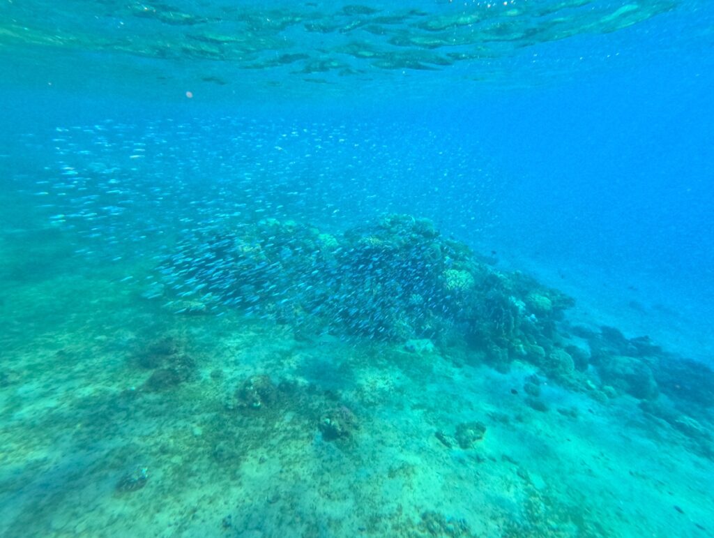 ダハブ