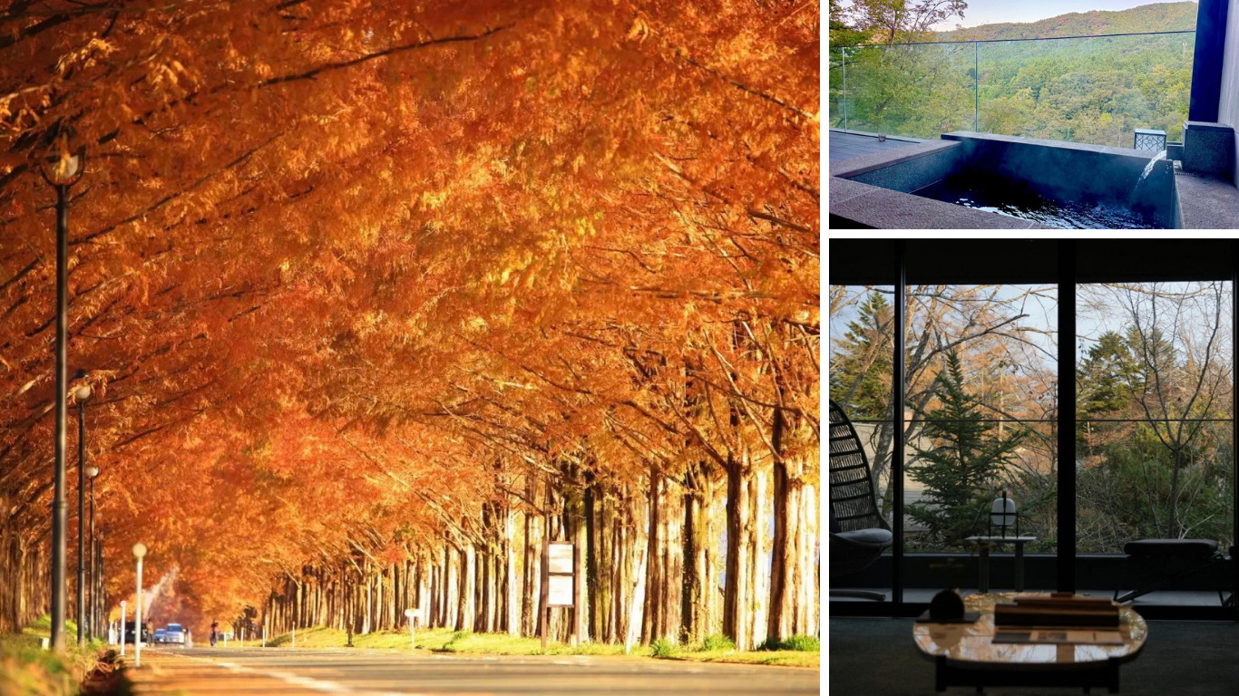 紅葉を訪ねる秋の旅。10月から12月に楽しみたい名所と見頃 