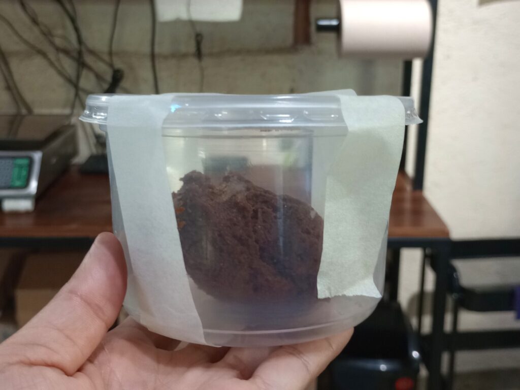 ウェルネス・トゥルム