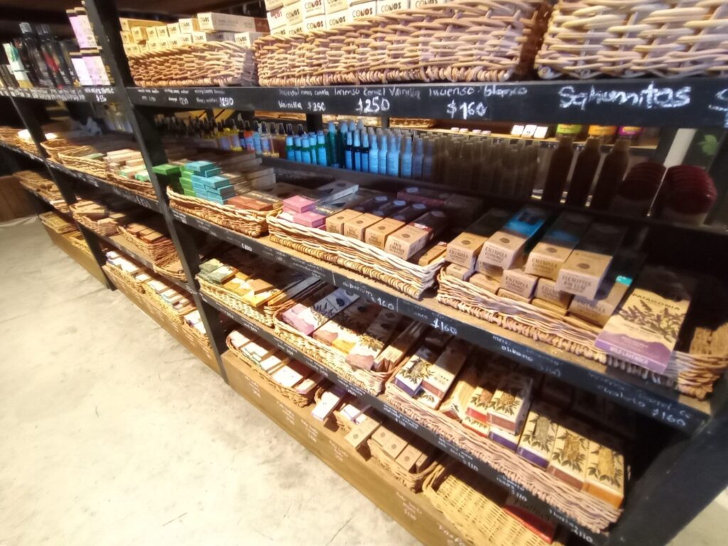 ウェルネス・トゥルム