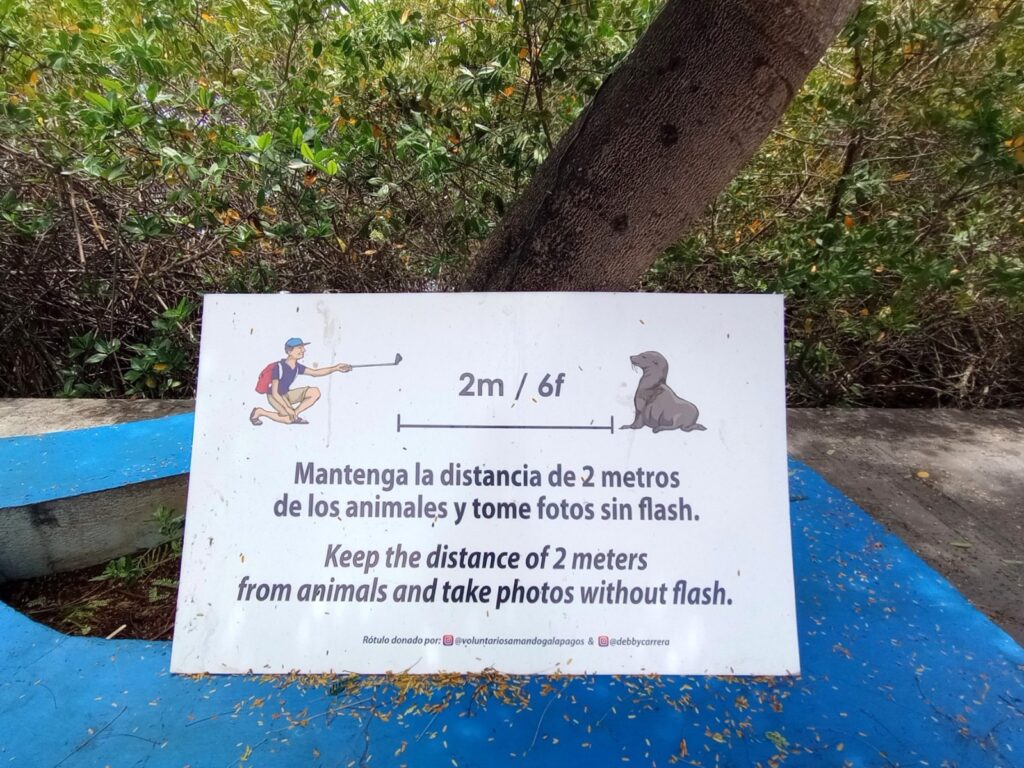 ガラパゴスカタマラン